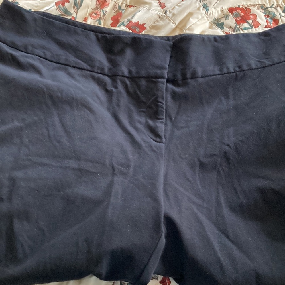 Alfani 22 WP black dress pant GUC